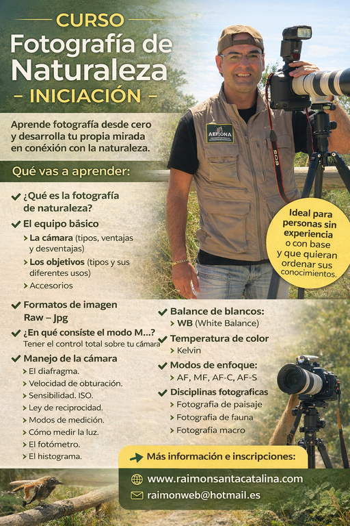 Curso fotografía de naturaleza - iniciación