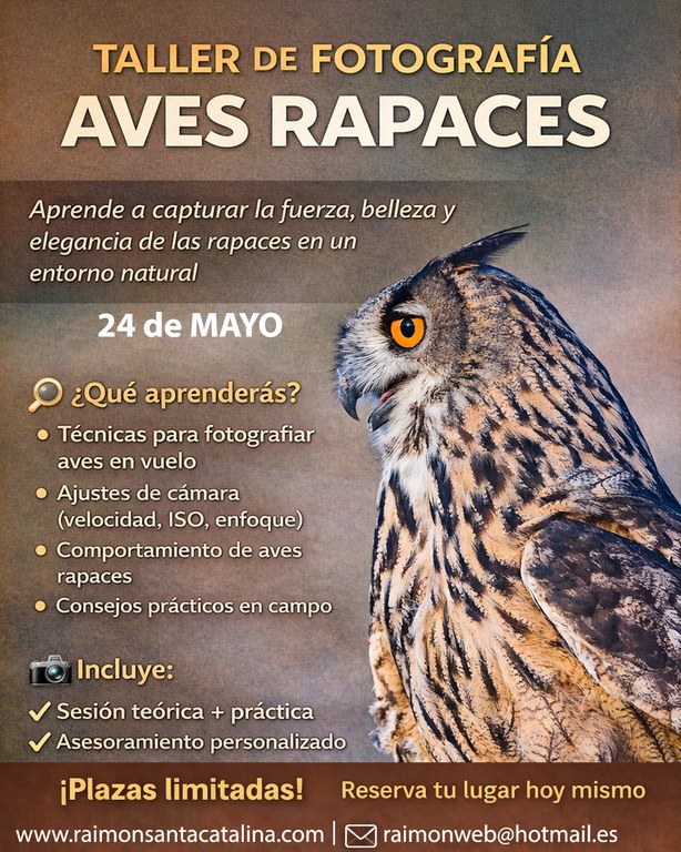 TALLER FOTOGRAFIAR AVES RAPACES